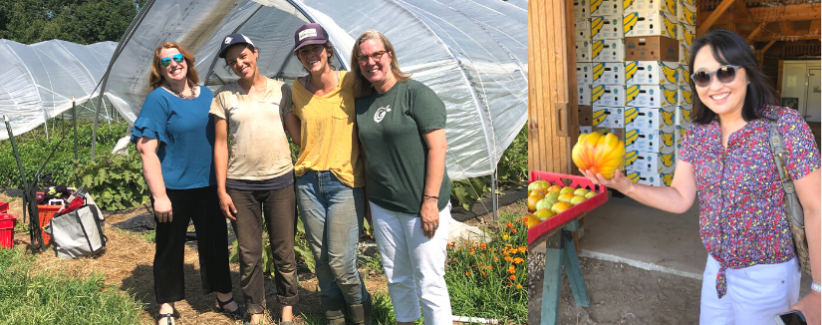 Images showing Greater Lowell Community Foundation staff visiting the farm.