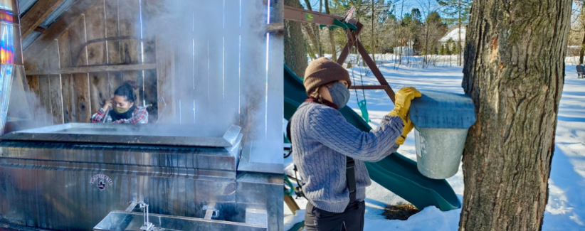 Images showing farmer attending to the sap on the maple boiler and a farmer collecting sap from a bucket on a maple tree.