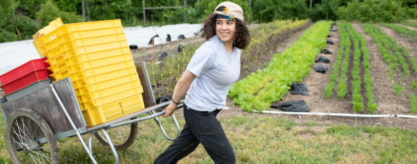 Ava pulls a cart of produce crates on the farm