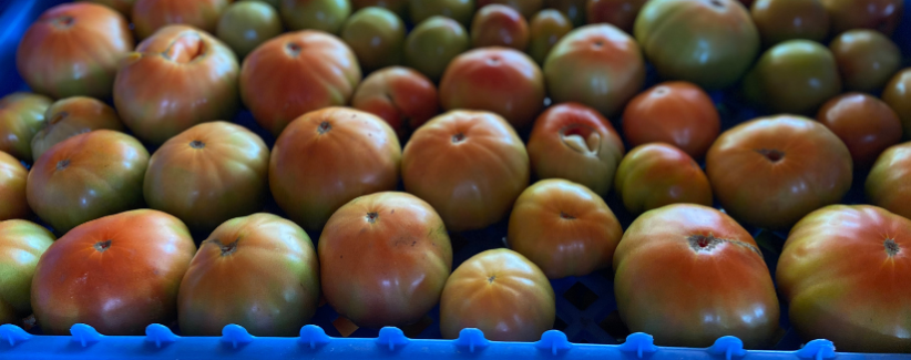 Image of a crate of tomatoes