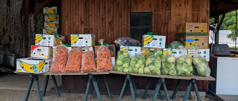 Image of food packed and ready for pick up from the farm