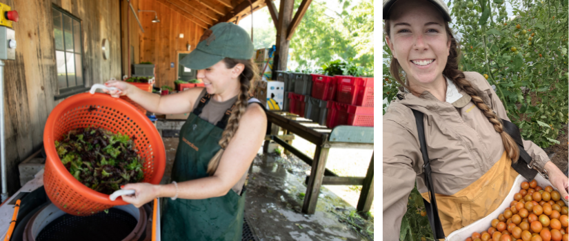 Chrissie washes and harvests