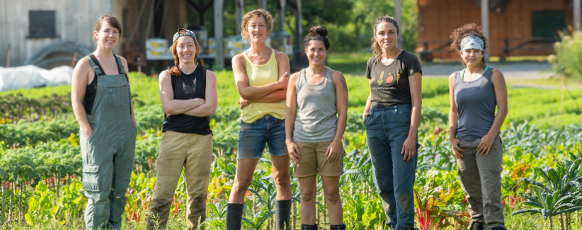 The farm team: Chrissie, Rae, Anna, Erin, Kim, and Ava.