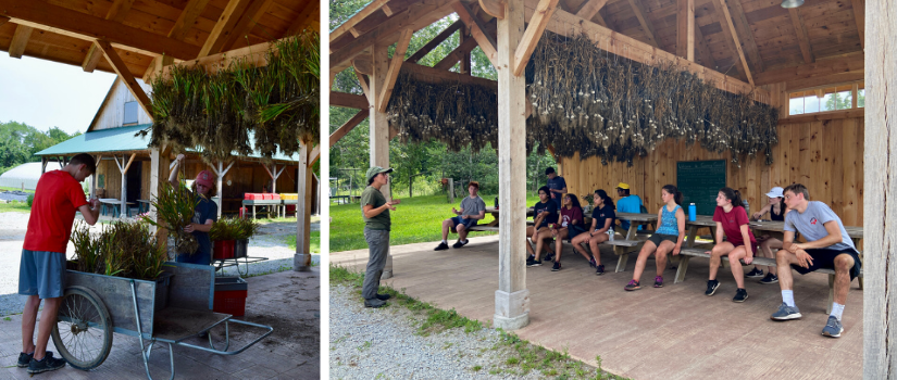 The high school farm team hanging garlic in the pavilion. The team sitting in the pavilion, listening to Erin.