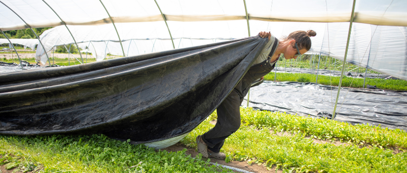 Kim pulls a tarp across a bed.