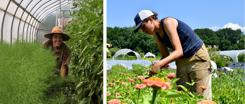 Kim in a hoophouse, smiling. Kim harvesting cut flowers.