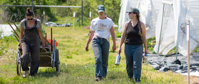 Kim, Avery, and Chrissie walking across the farm.