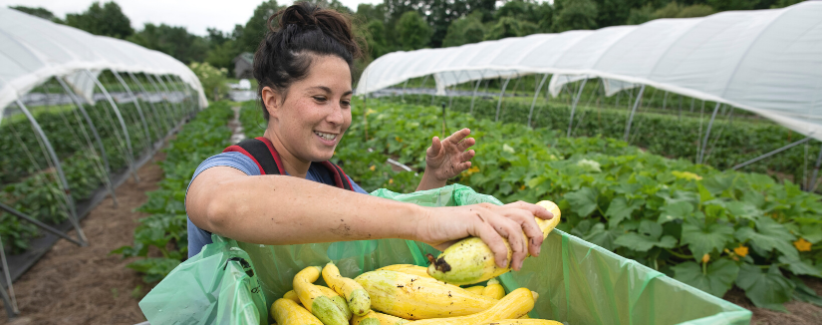 Image of Erin placing squash into a box