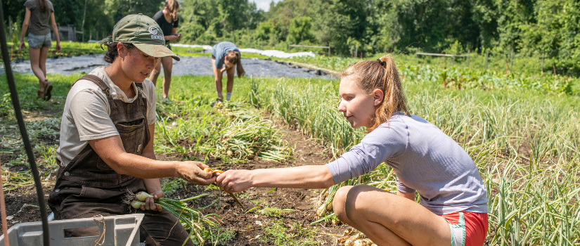 Image of Erin working with a high school farm team member.