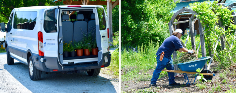 A van from Minuteman High School with perennials ready to be planted. A student loading up a wheelbarrow.