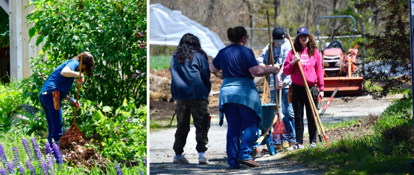 Students weeding a perennial bed. Sarah Ard instructing students.