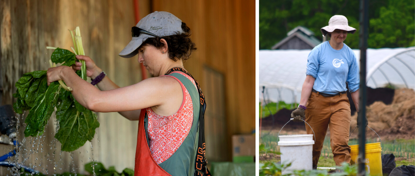 Image of Sarah washing greens and of Sarah hauling buckets of compost