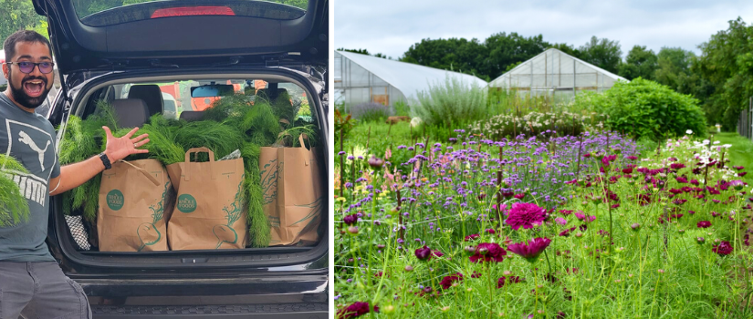 Image of Sigmund Correa loading a car with bags of food, and of flowers on the farm