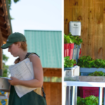 Image of Rae Axner labeling food boxes, and Sarah Lichtman carying baskets of harvested produce