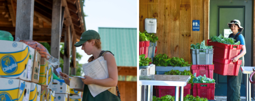 Image of Rae Axner labeling food boxes, and Sarah Lichtman carying baskets of harvested produce