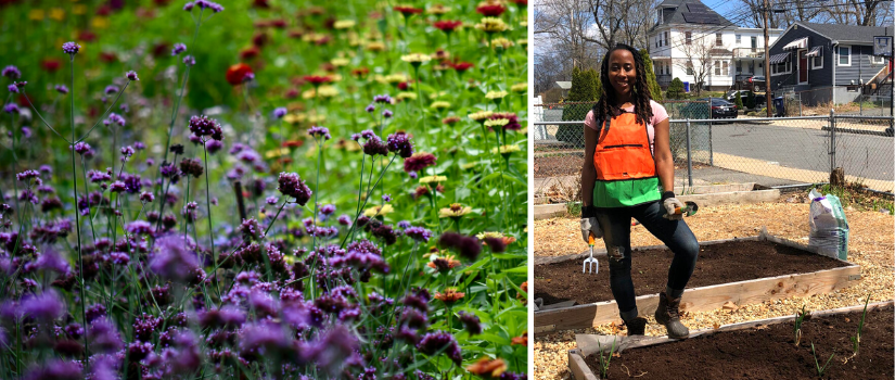 An image of flowers on the farm and of Yvette Philip gardening in a raised bed