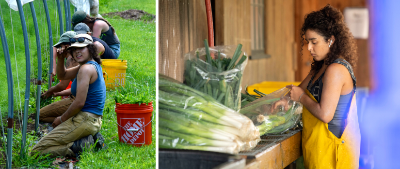 Image of Ava Lublin weeding and washing produce