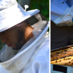 Image of David in beekeeping gear, image of David inspecting a hive