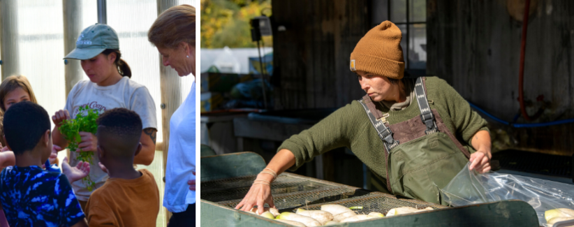 Image of Erin sharing wood sorrel with young volunteers, image of Erin at the wash station with turnips