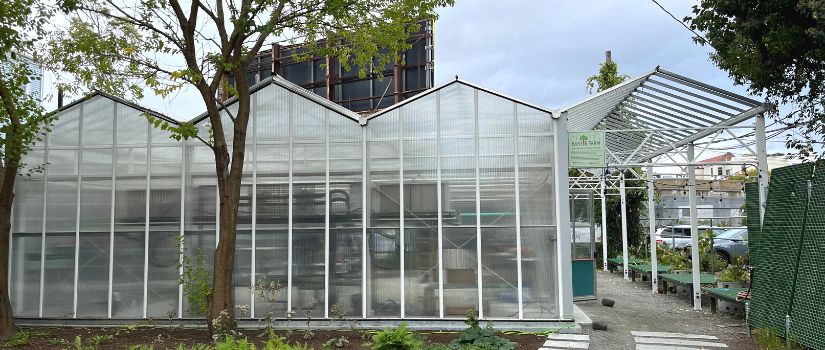 image of greenhouse at Eastie Farm