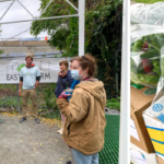 Image of farmers and staff visiting Eastie Farm, image of peppers harvested for Eastie Farm