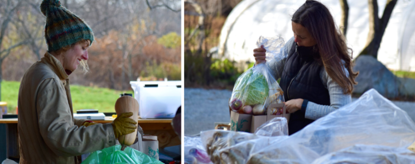 Image of Anna packing butternut squash and Allison packing bags of produce