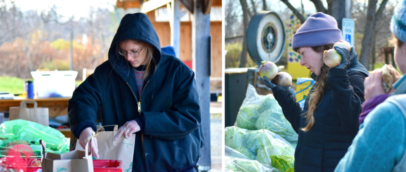 Image of Avery packing onions and Chrissie holding radishes