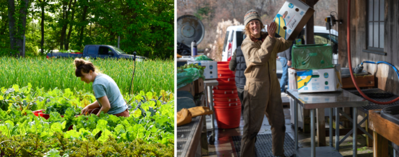 Farmer Chrissie harvesting greens and Farmer Anna at the winter wash station