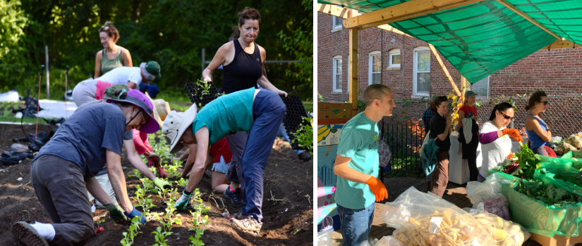 Volunteers working on a bed, the team visiting Eastie Farm