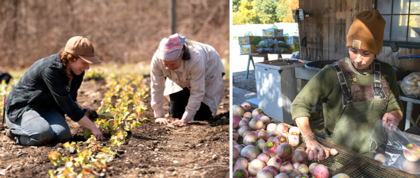 Farmer Rae planting spring greens, Farmer Erin at the wash station