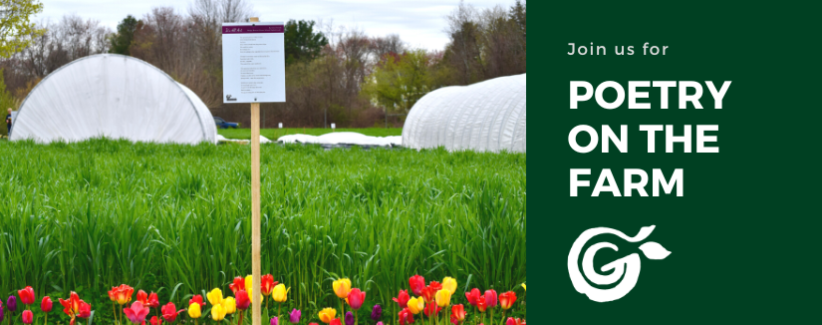 A poet displayed on a wooden stake above a row of colorful tulips, overlooking green crops and caterpillar tunnels.