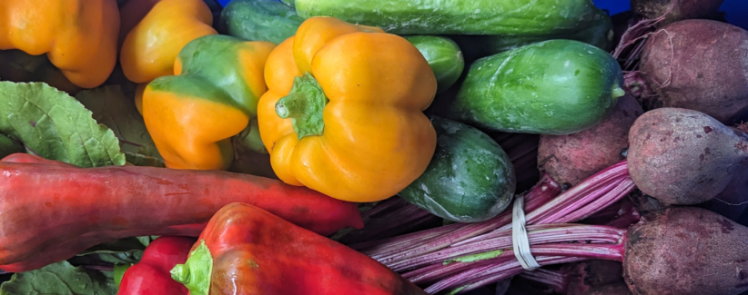 GREEN BELL PEPPERS FRESH FRUIT PRODUCE VEGETABLES BY THE POUND